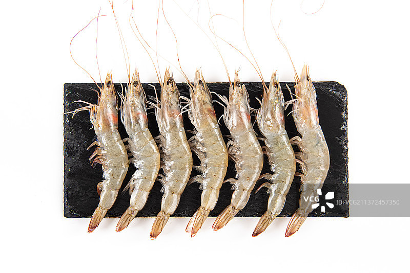 白色背景上的一排白对虾图片素材