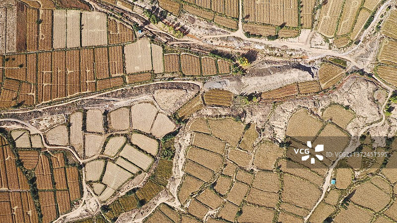 航拍水稻梯田和小路图片素材