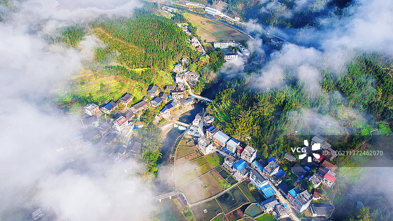 冬天感受花开的季节图片素材