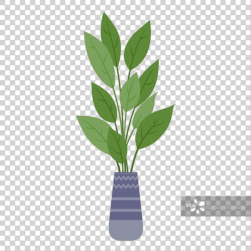 一盆植物盆栽图片素材
