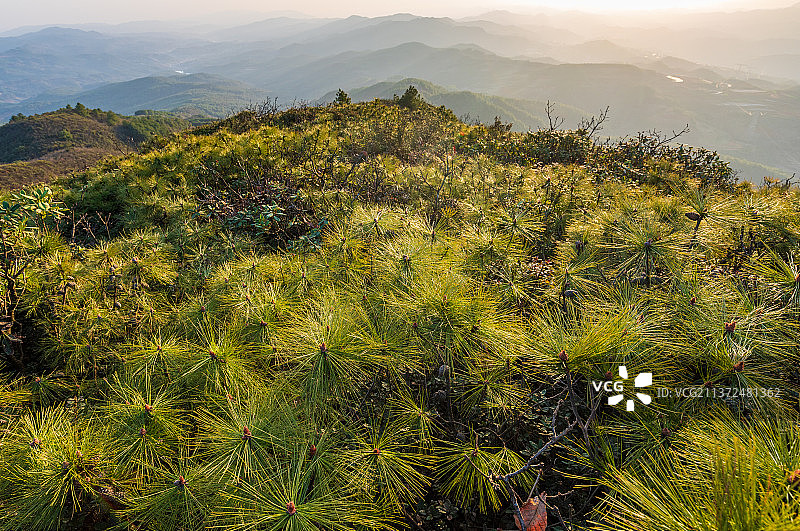 山顶的风景图片素材