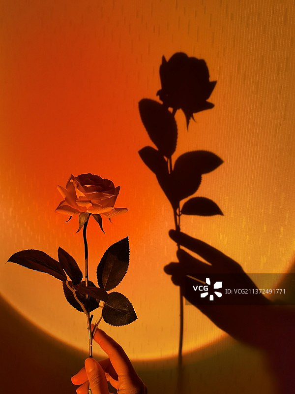 光与影图片素材