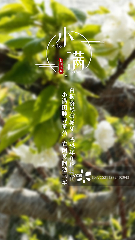 日签打卡图片素材