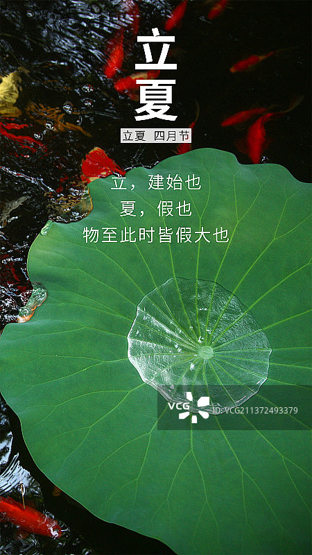 日签打卡图片素材
