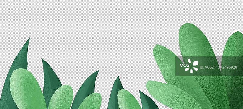 植物叶子图片素材