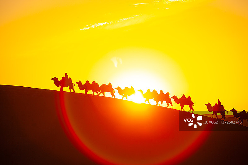 巴丹吉林沙漠驼影图片素材