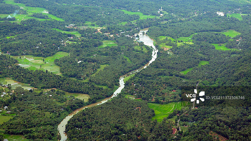 斯里兰卡森林中的树木高角度景观图片素材