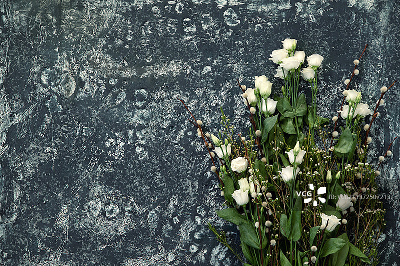 蓝色背景上的白色开花植物特写图片素材