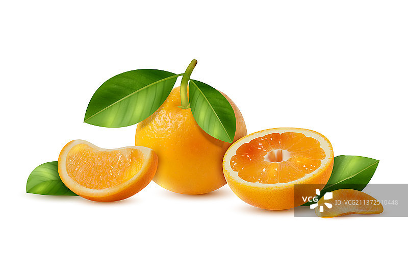 逼真的橙子图片素材