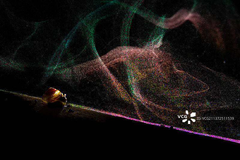 在仙境中玩魔法绳索的蜗牛，马哈拉施特拉邦，印度图片素材