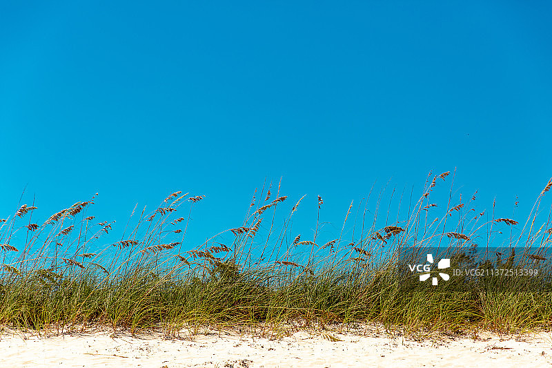 特克斯和凯科斯群岛普罗维登西亚莱斯岛的蓝色天空下的海滩草图片素材
