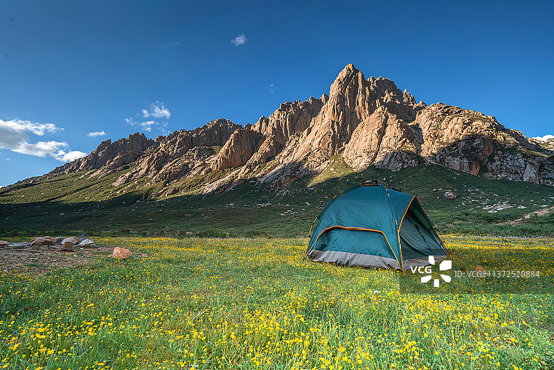 春天里高山下露营地里的帐篷图片素材