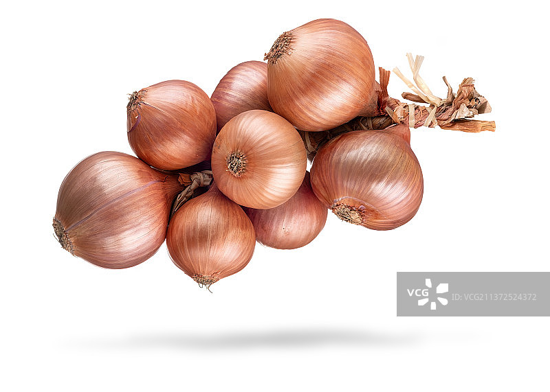 白色背景上的一束黄色洋葱图片素材