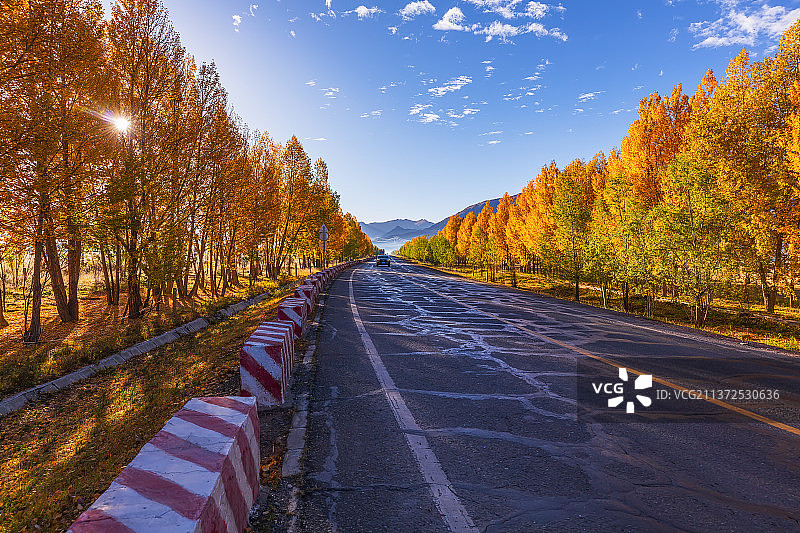 日喀则国道219秋色图片素材