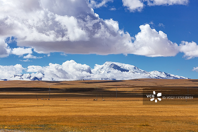 聂拉木县希夏邦马峰图片素材