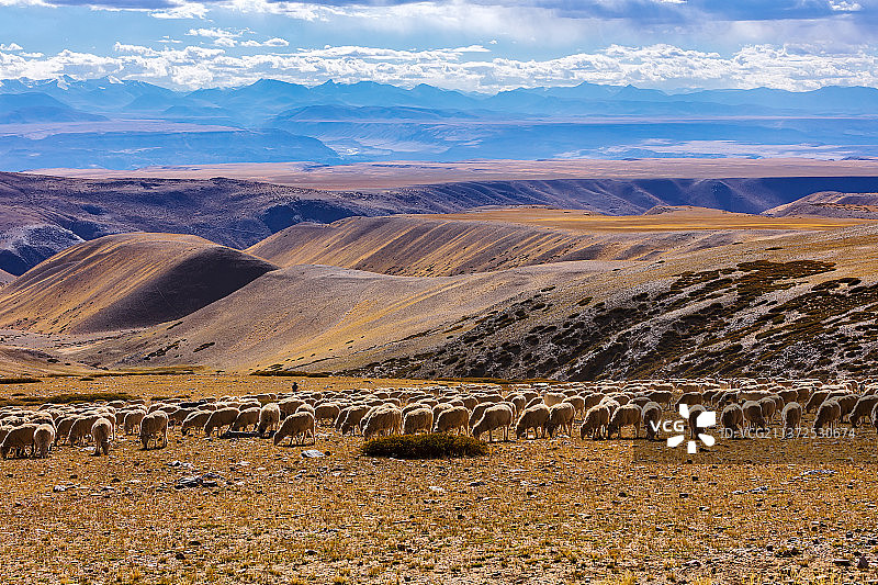 国道219札达县境内沿途风光图片素材