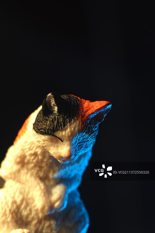 玩具小猫图片素材