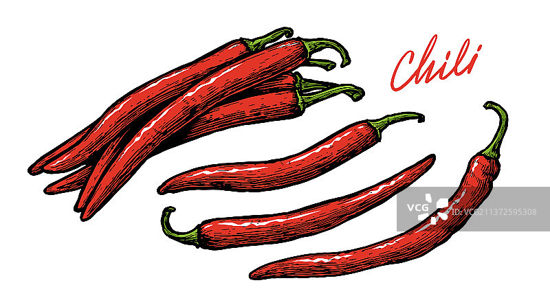 香辣红辣椒套装图片素材
