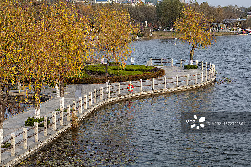 中国山东淄博桓台红莲湖畔弯曲的小路图片素材