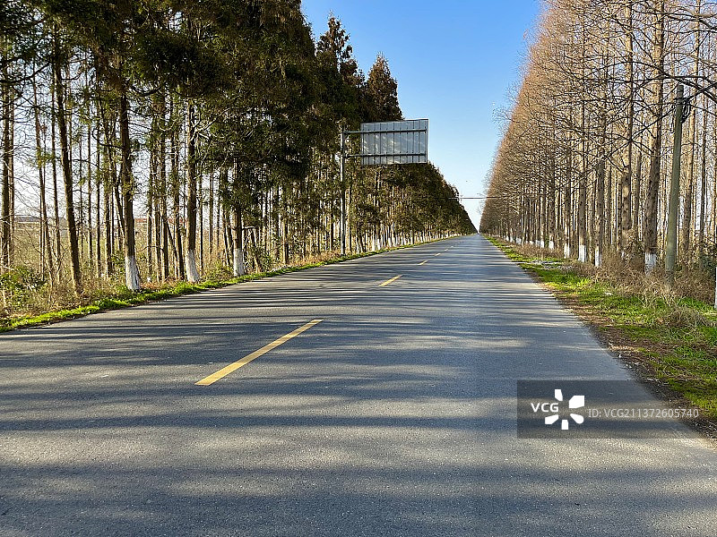 蓝天白云下的乡间小路图片素材