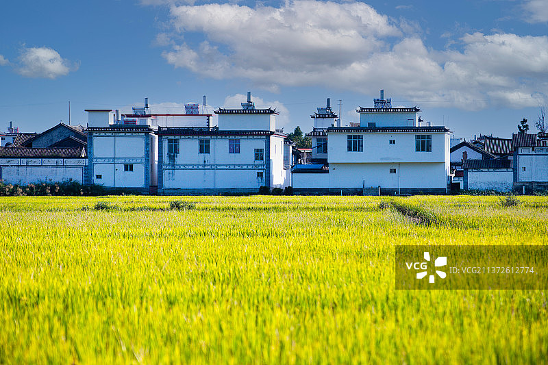 大理秋天风光图片素材