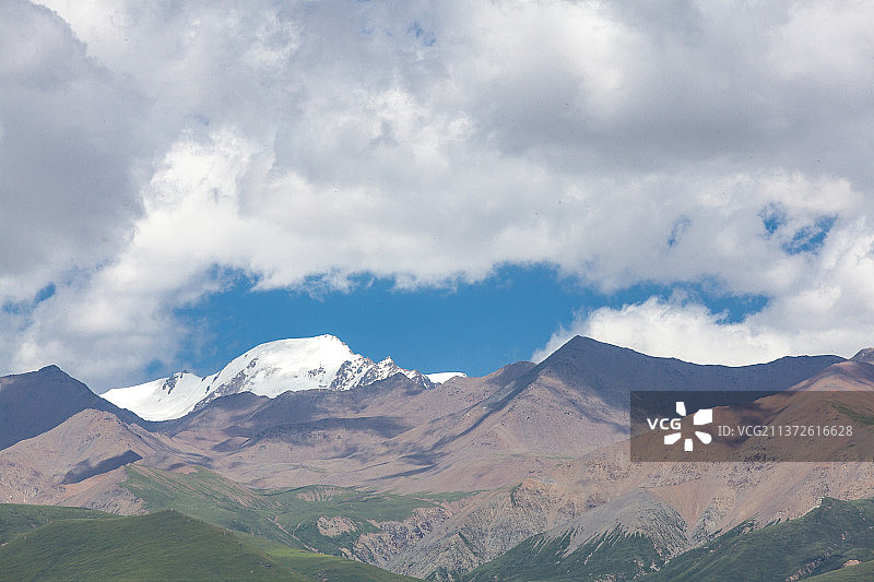 门源油菜花雪山图片素材