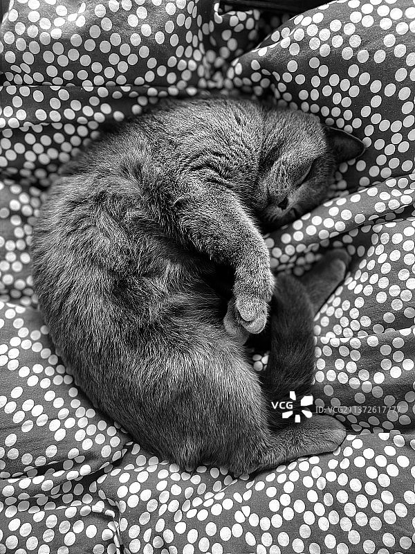 熟睡中图片素材