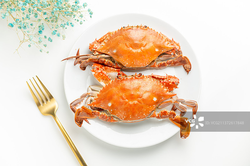 一盘梭子蟹摆放在白色背景上图片素材
