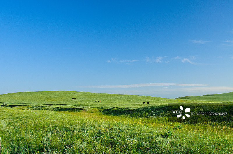 内蒙古贡格尔草原图片素材