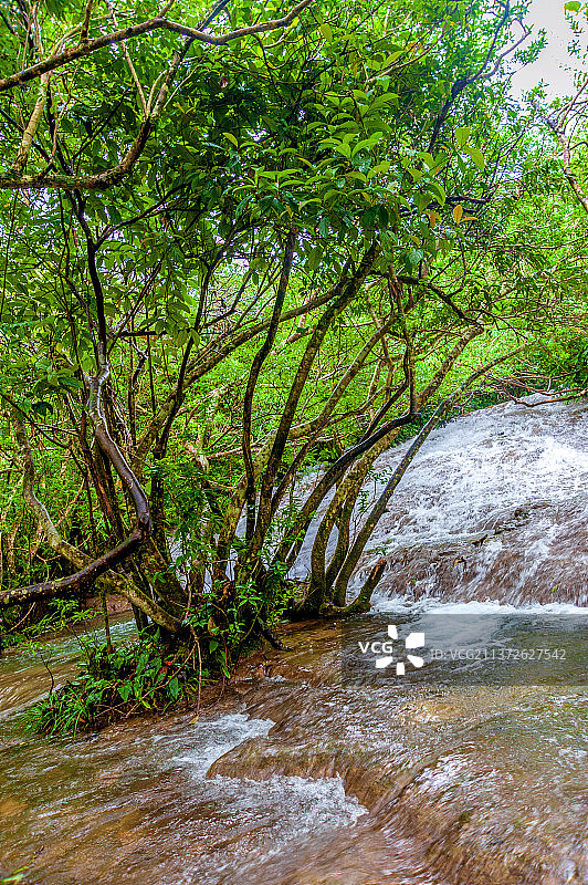 中国贵州黔南小七孔风景区水上森林图片素材