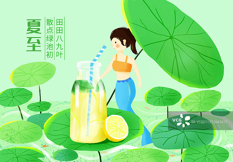 夏至图片素材