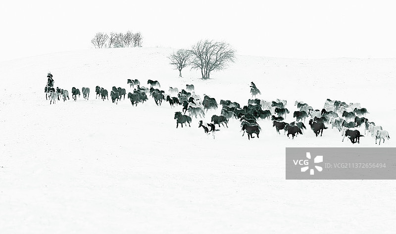 冬日赶马图片素材