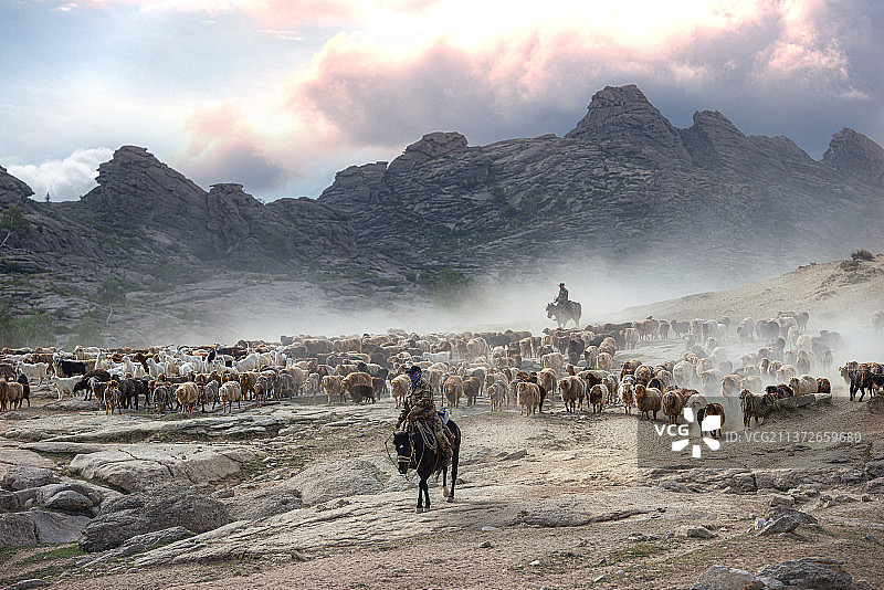 迁徙途中图片素材