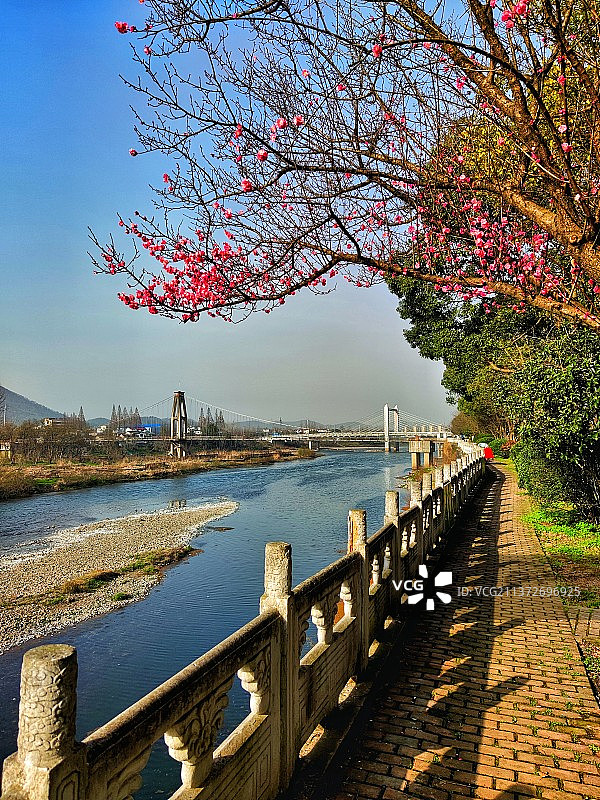 梅映双桥图片素材