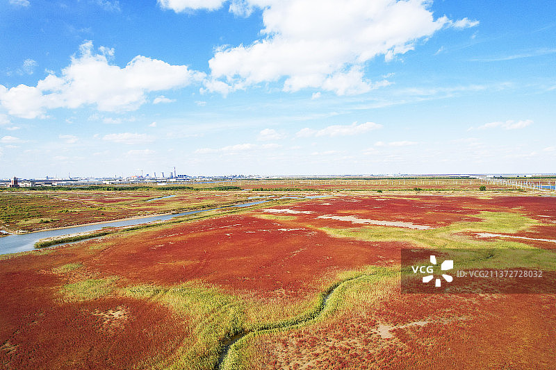 黄河入海口红地毯图片素材