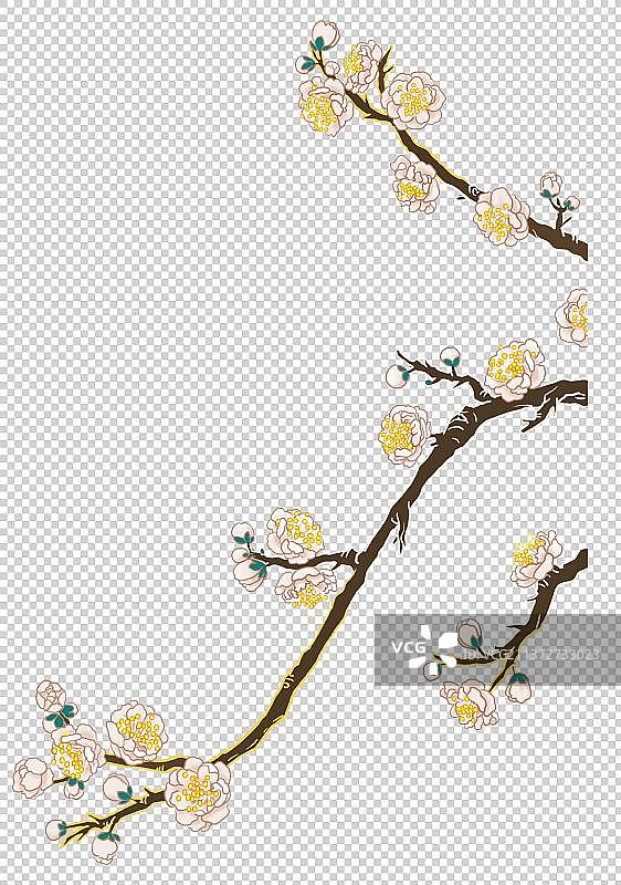 花枝元素图片素材