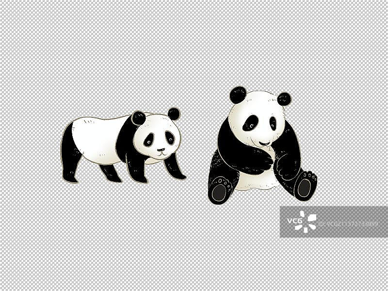 大熊猫国家保护野生动物插画元素图片素材