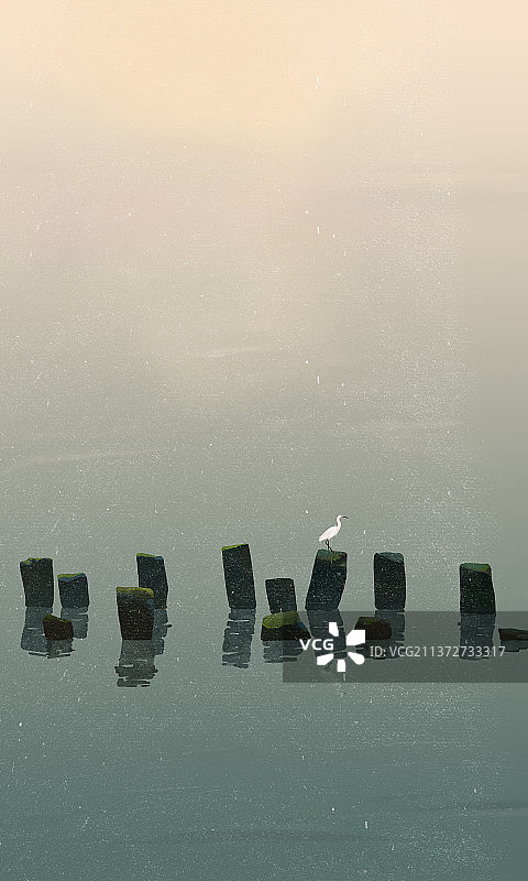 站在柱子上的白鹭图片素材