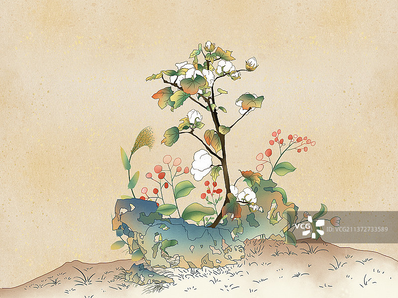 中国风水墨画假山旁的野草野花和棉花图片素材