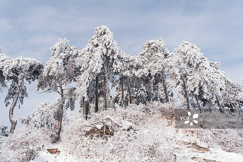 江西省九江市庐山5A风景区冬季雪景风光图片素材