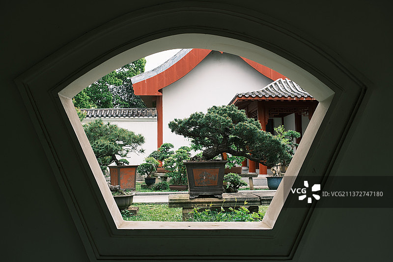 湖北武汉东湖磨山盆景园初春风光图片素材