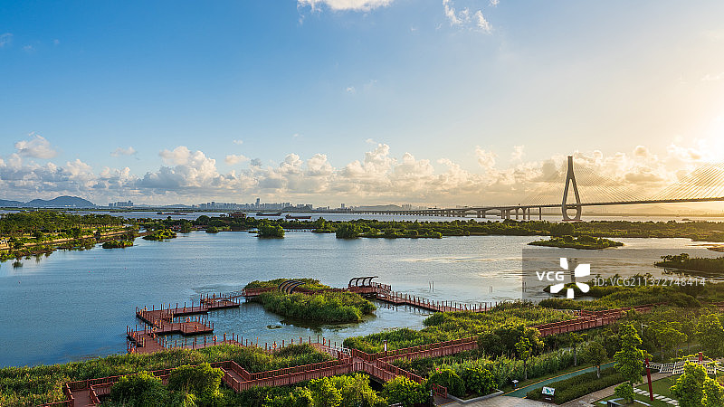 横琴芒洲湿地公园图片素材