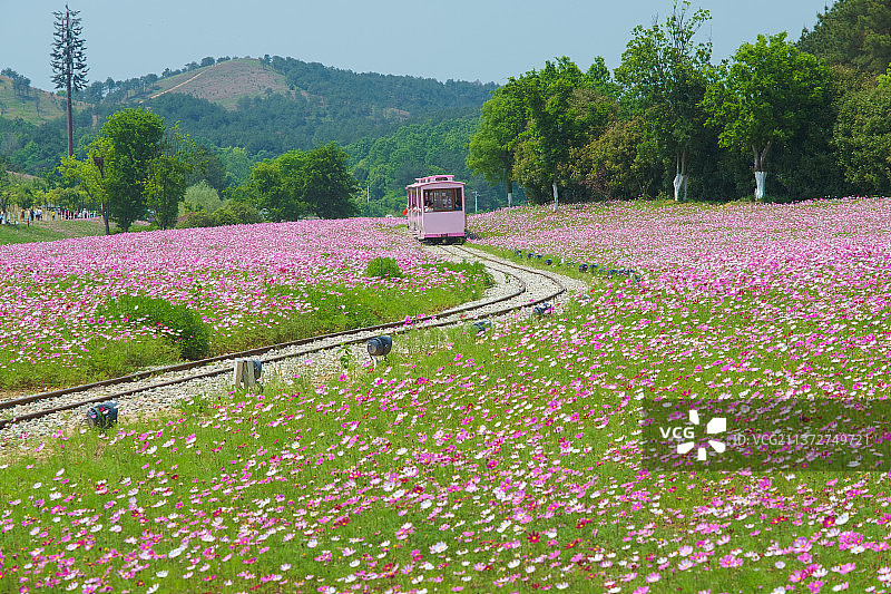 湖北武汉木兰草原风景区风光图片素材