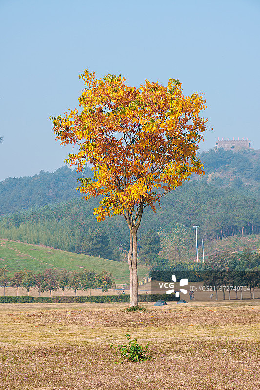 湖北武汉木兰草原风景区风光图片素材