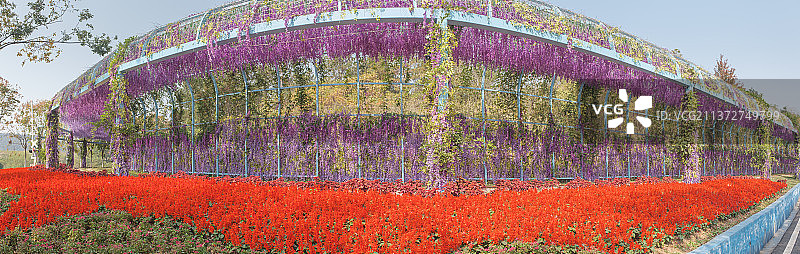 湖北武汉木兰草原风景区风光图片素材