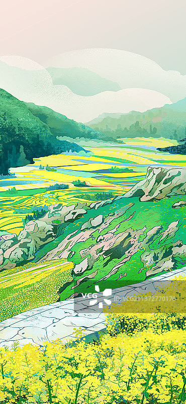 油菜花梯田图片素材