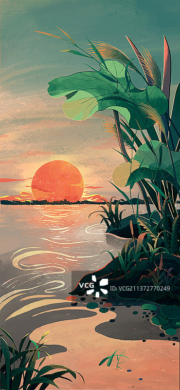 日出日落的水面图片素材