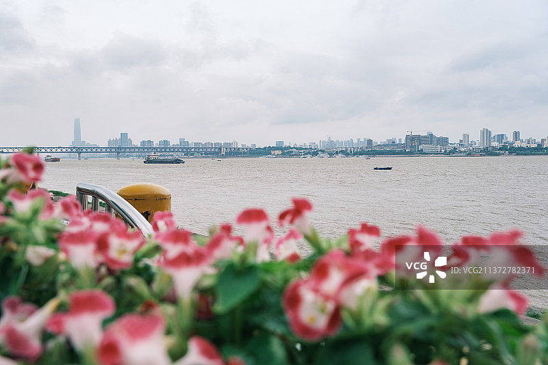 湖北武汉夏季都市天际线风光图片素材