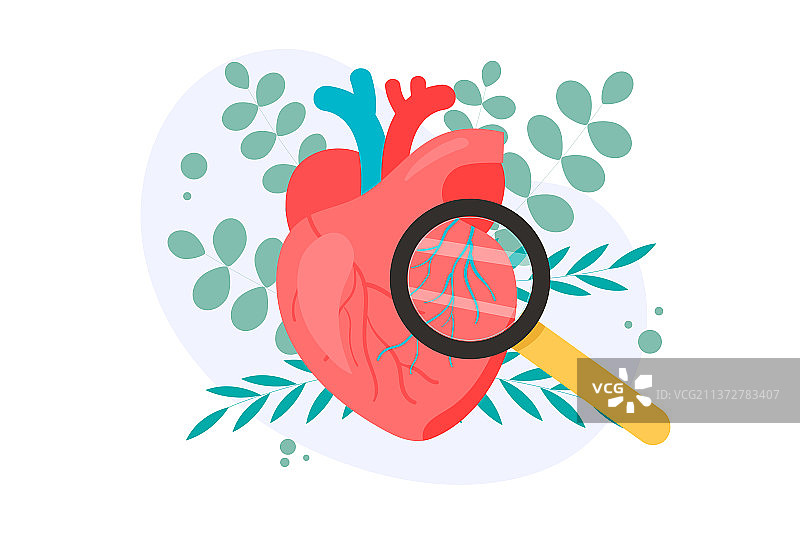 心脏检查医疗健康矢量插画图片素材