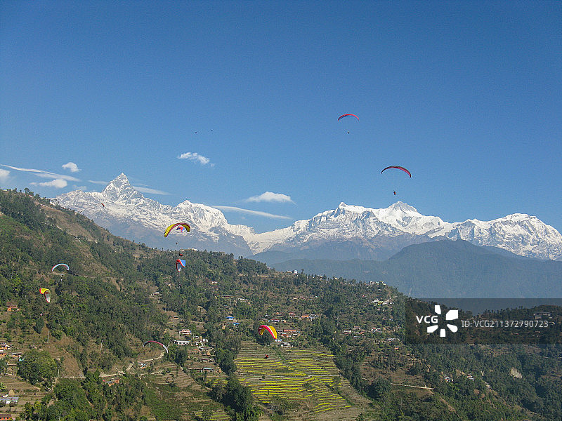 极限运动：尼泊尔博卡拉的滑翔伞与远处喜马拉雅山脉的安纳普尔纳山峰群图片素材